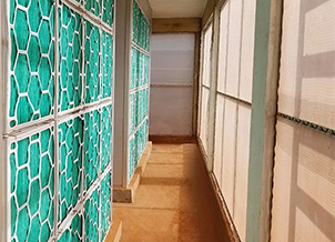 潔斐然生物安全防疫過濾系統(tǒng)落地越南