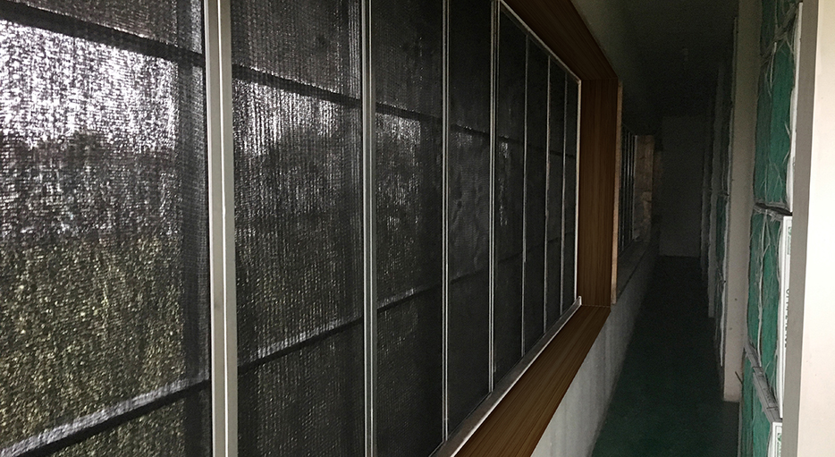 擋沙網(wǎng)過濾墻內(nèi)側(cè)。