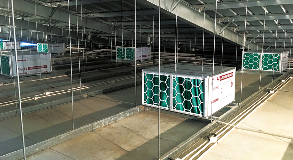 河北楊武頭項(xiàng)目Antibio養(yǎng)豬場空氣過濾系統(tǒng)頂端入風(fēng)。