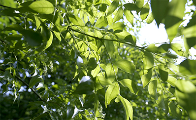 潔斐然學(xué)堂即將啟幕